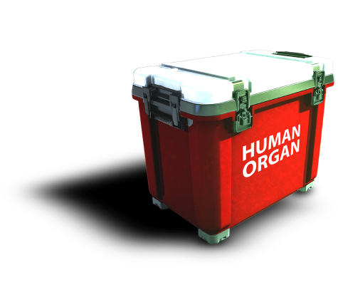 Organ box illustration